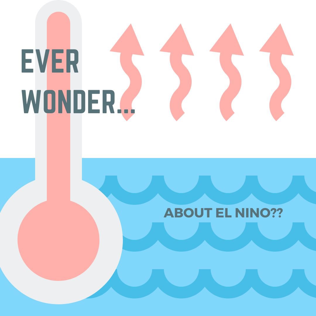 Blue Scholars Initiative tweet media