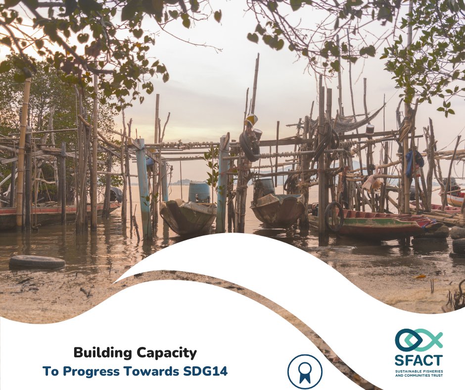 One of the ways SFACT are working to #buildcapacity is by funding vital training for government officials of #IndianOceanCoastalStates, so that they are able to effectively #participate in international negotiations surrounding #oceanic and #coastalfisheries. 

(thread)