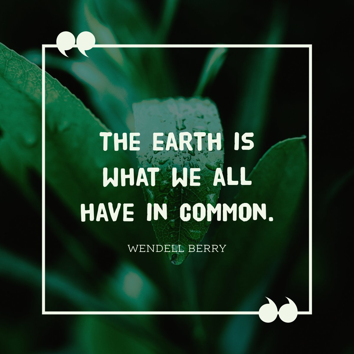 SMARTBUSUK's tweet photo. #greenwednesday https://t.co/oUNSpNlsLr