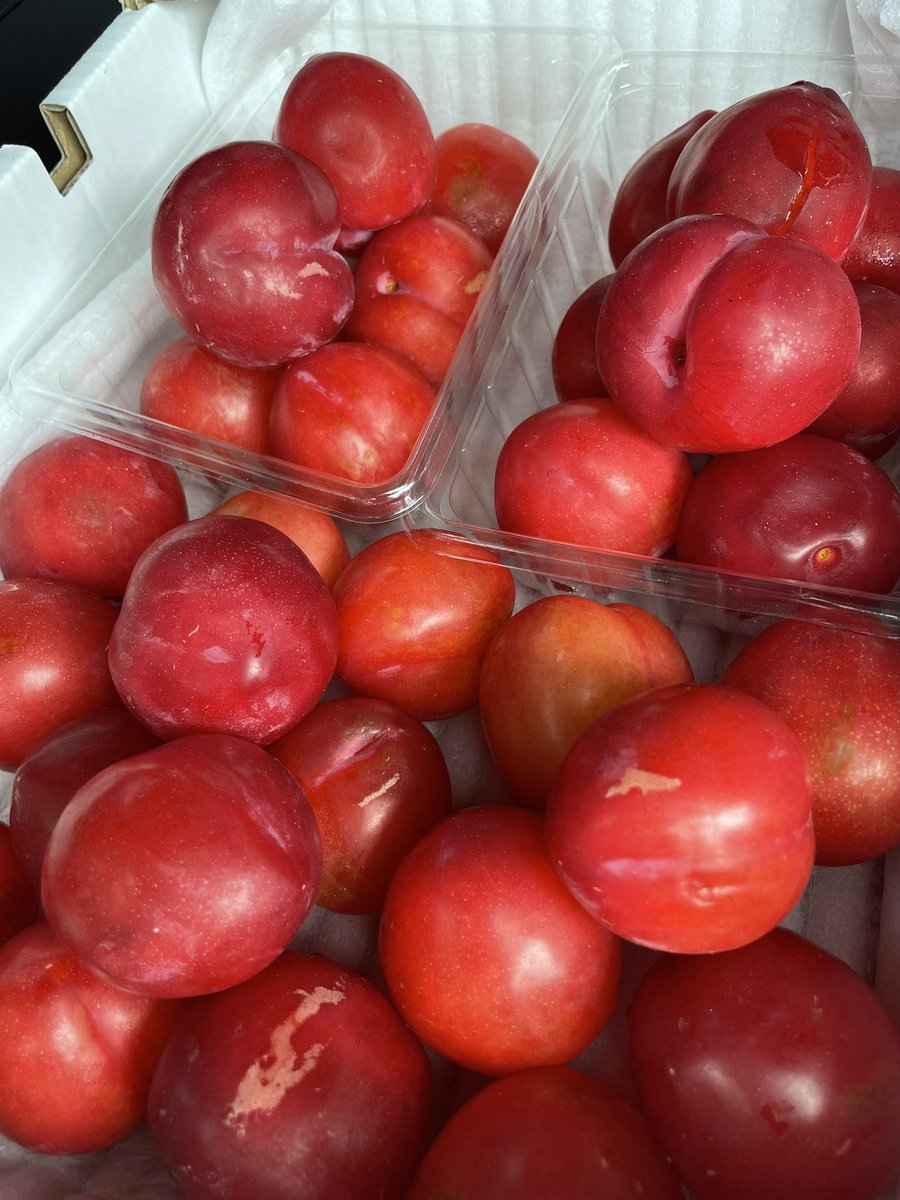 木曜日13時半18時半、ケーアンドケーボクシングジム前　プラム出来ました