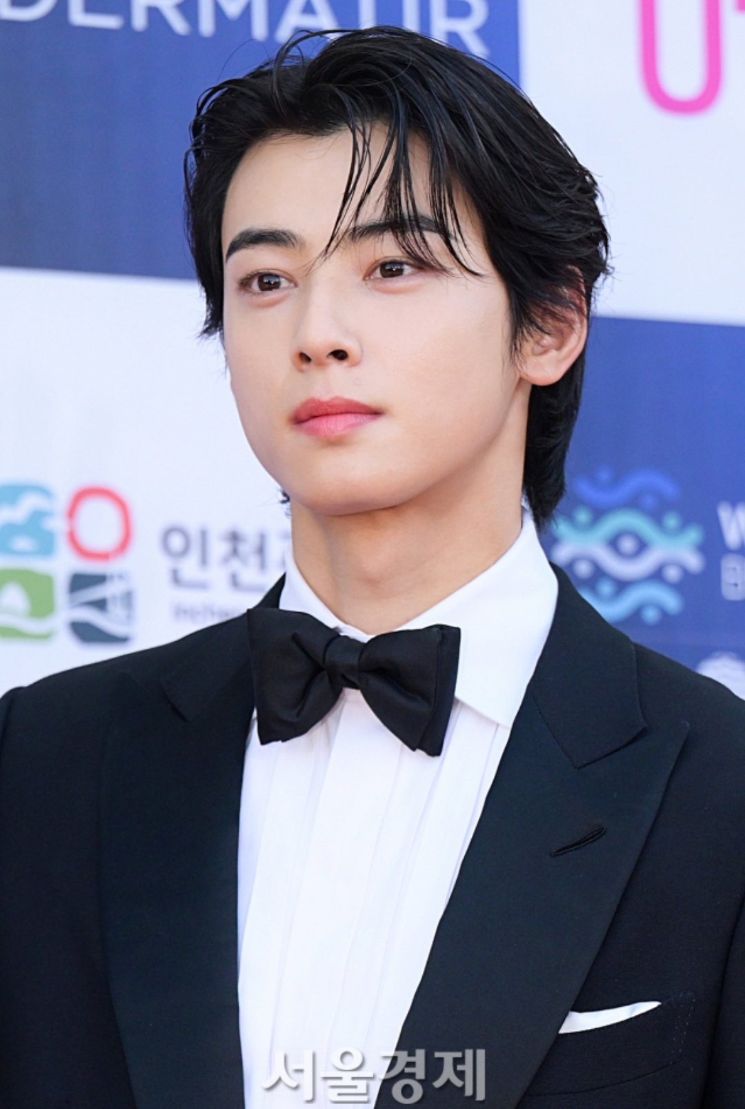 Cha Eun Woo 차은우 Daily on Twitter "the handsome Cha Eun Woo at the red