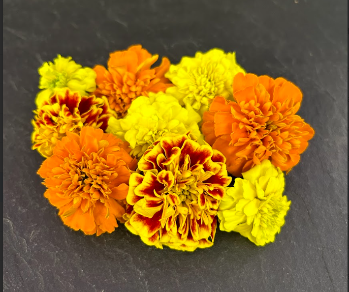 Nous aussi, on est en mode #remaniement ! 

On remplace l'importation par des #produit 100% #francilien 😁

Exemple avec la "tagète multiple", majoritairement importée d'#espagne désormais disponible chez Champerché. 

#localfood #ecologie #FRENCHteCh #iledefrance