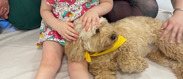 Daisy Dog tweet media