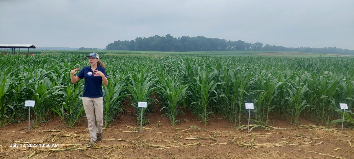 Greg Roth tweet media