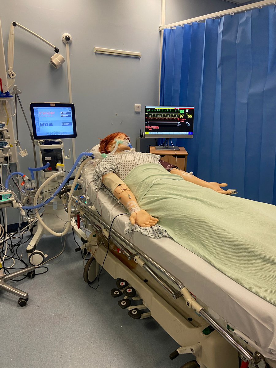 Lisa Enoch tweet media