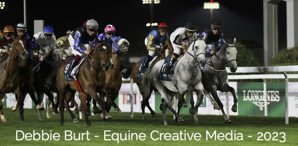 ArabianRH's tweet photo. exciting news for #arabianracing as @JCSA_Racing announce that the $1million #AlMneefahCup has been #upgraded to a #Group1PA for 2024
photo ยฉdeborahburt71
@ARO_Racing @Intracingbureau @EquineMediRec @afac_contact @TheAJClub https://t.co/PqcQoF56g2
