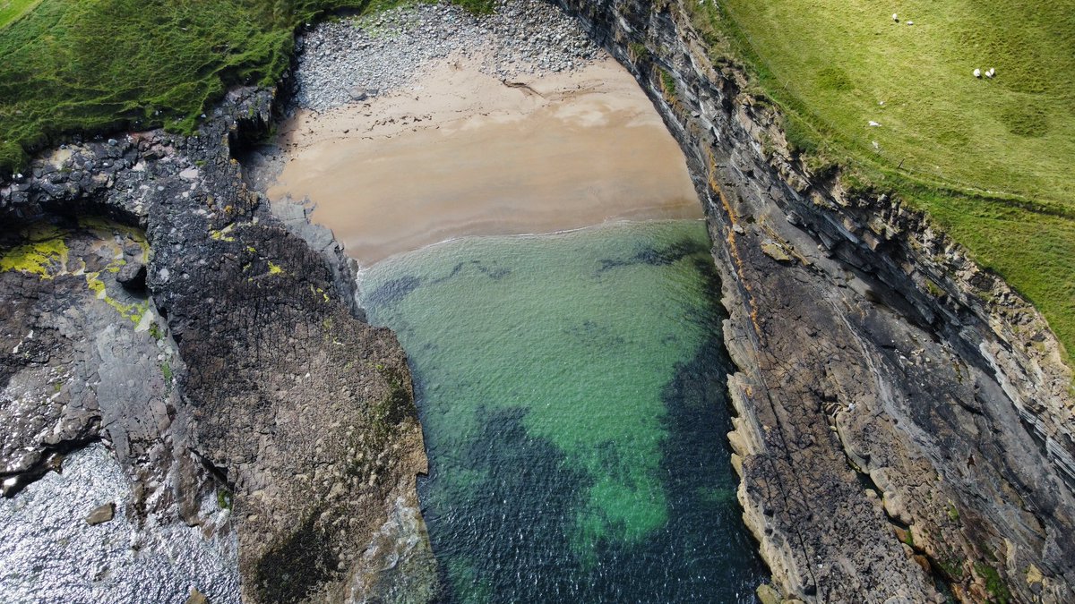 choosesligo tweet media