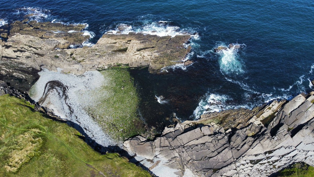 choosesligo tweet media