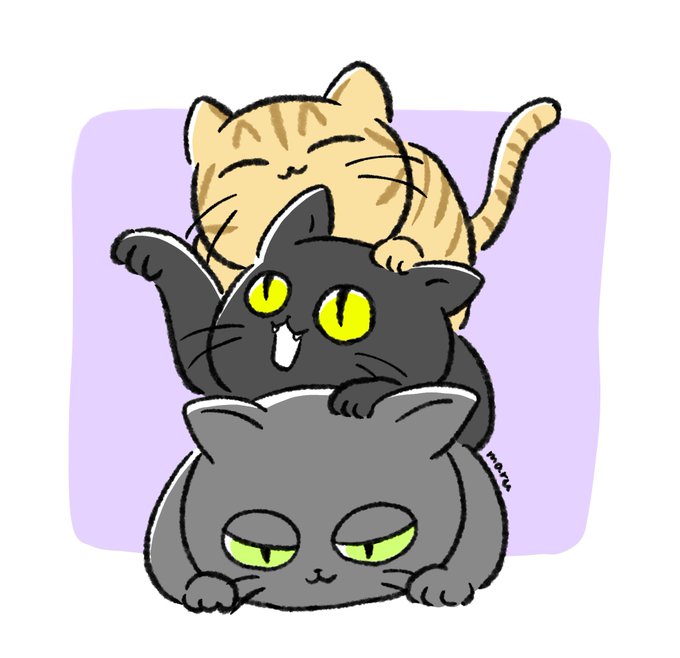 「cat on head no humans」 illustration images(Latest)