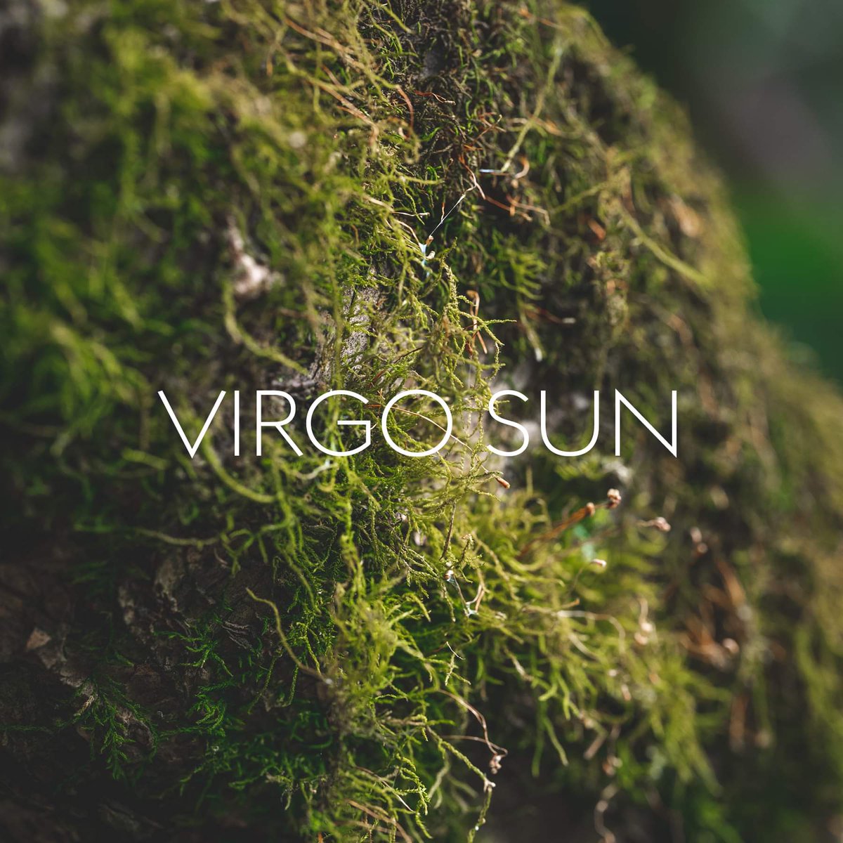 SoulshineHeali1's tweet photo. ♍️...my Virgo Moon 😁 https://t.co/GscGP5tRXg