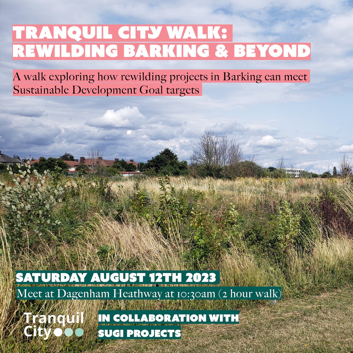 Join us for a #SummerWalk on Saturday 12th August with @sugiproject We’ll be exploring rewilding projects in #BarkingandDagenham and seeing how they can contribute to the UN #SDGs eventbrite.co.uk/e/tranquil-cit… #BiodiversityNetGain #Rewilding #LandscapeArchitecture