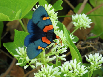 Bryan Carstens tweet media