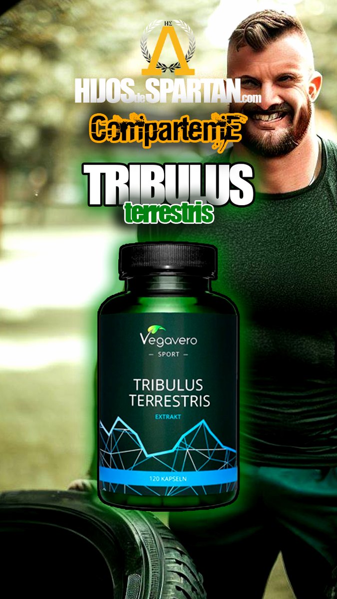 hijosdespartan's tweet image. Aumenta tu testosterona con el Tribulus Terrestris PURO 10.800 mg Vegavero, el suplemento natural que mejora tu salud sexual, tu rendimiento físico y tu estado de ánimo. Consíguelo con descuento aquí: hijosdespartan.com/product-review… #TribulusTerrestris #Testosterona #Vegavero