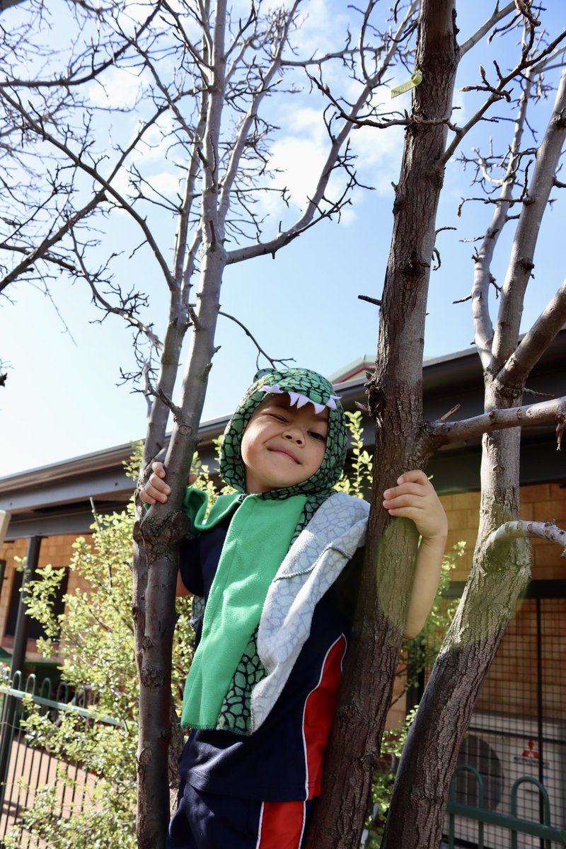 St Helena's CPS tweet media