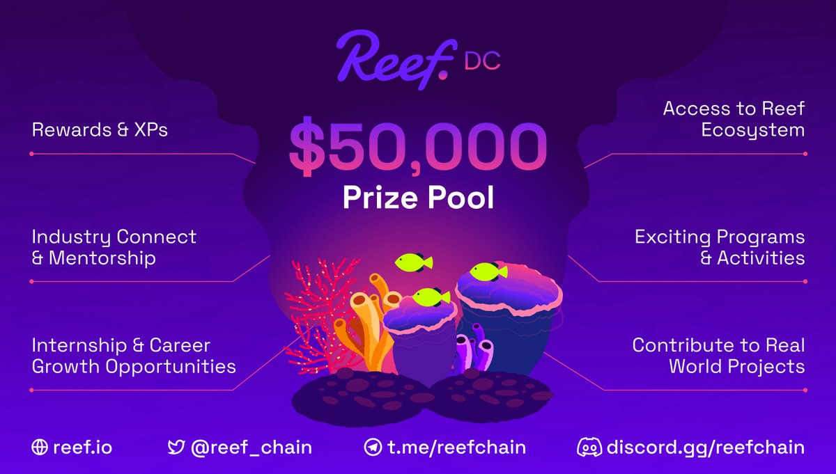 🐠 Reef tweet media