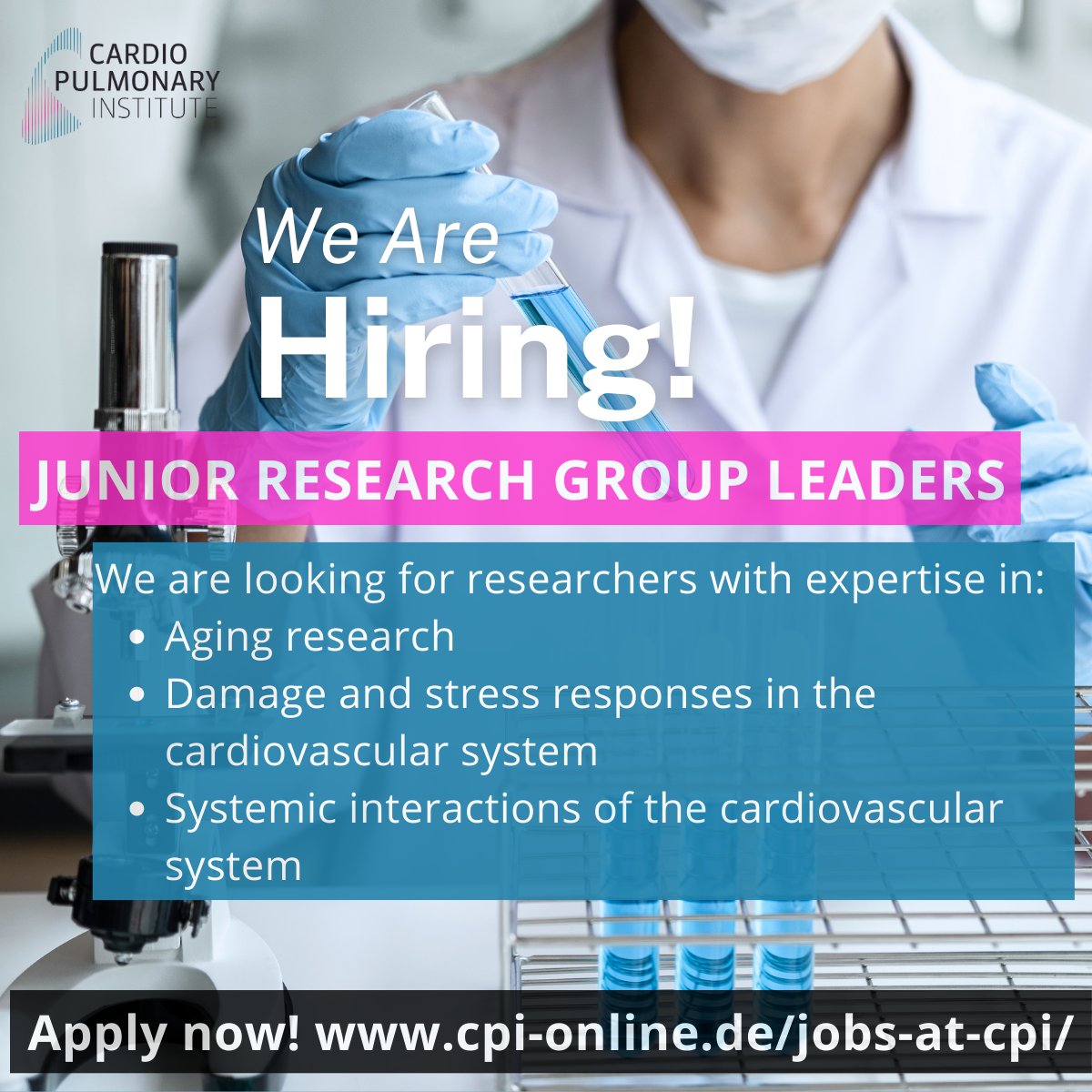 #WeAreHiring - The CPI is offering 3 Junior Research Group Leader positions in Frankfurt to investigate aging, damage & stress responses in the cardiovascular system, and systemic interactions of the cardiovascular system. Apply: cpi-online.de/jobs-at-cpi/ @IVS_FFM @StefanieDimmel1