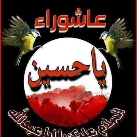لاتلطم اعلا حسـين ... لاتلبس اسود
صف نيتك وتصير ... من ربعه تنعد
عظم الله اجورنا واجوركم..بقلمي @الجميع