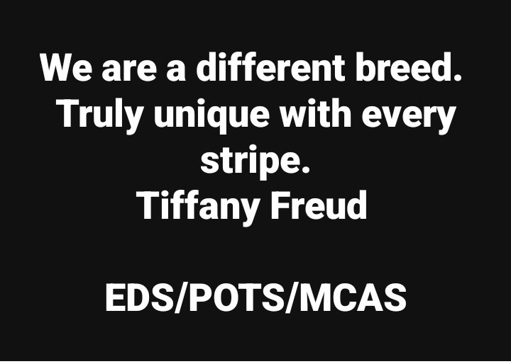 tfreud's tweet photo. We are a different breed. 
Truly unique with every stripe.
Tiffany Freud 

#EDS/#POTS/#MCAS #ehlersdanlossyndrome
#postorthostatictachycardiasyndrome #mastcellactivationsyndrome #spoonie #zebrastrong #chronicillness #Chronicpain https://t.co/LgKT5RuBah