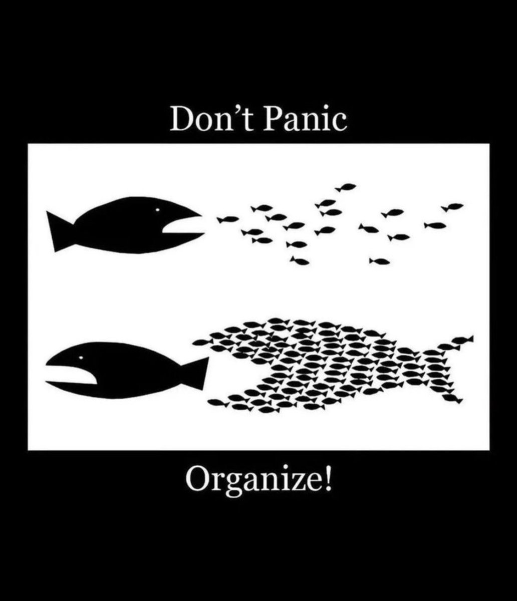 DZB_06's tweet image. 5.