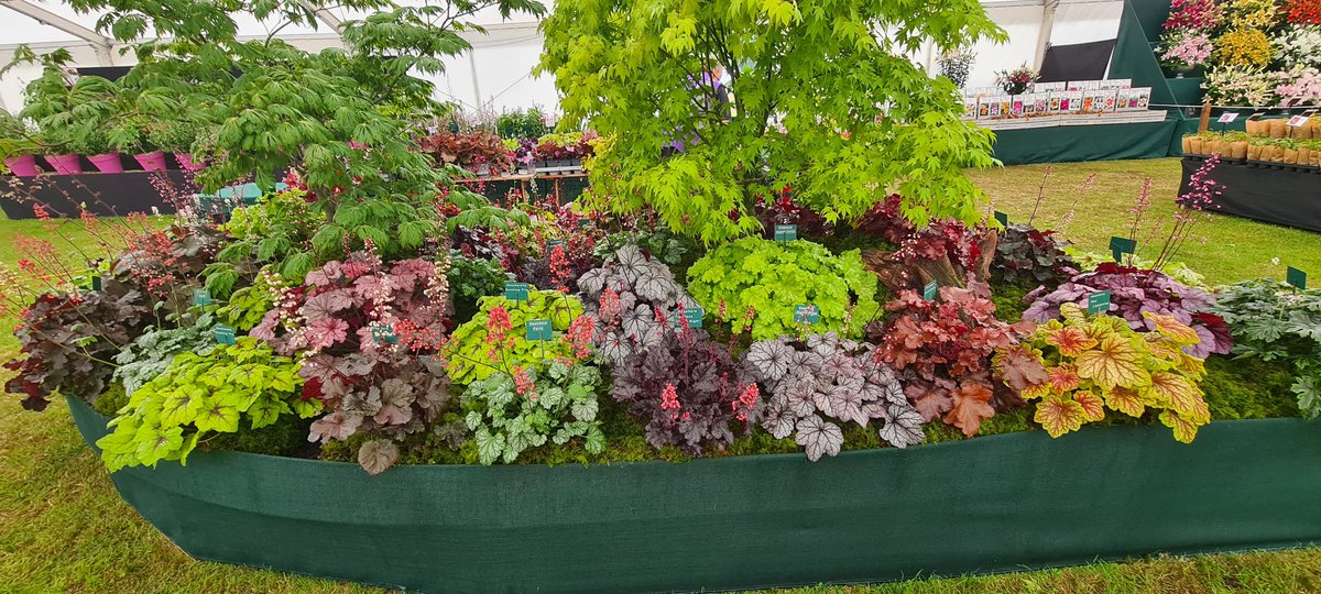 Vicky & Richard Fox🌱 tweet media