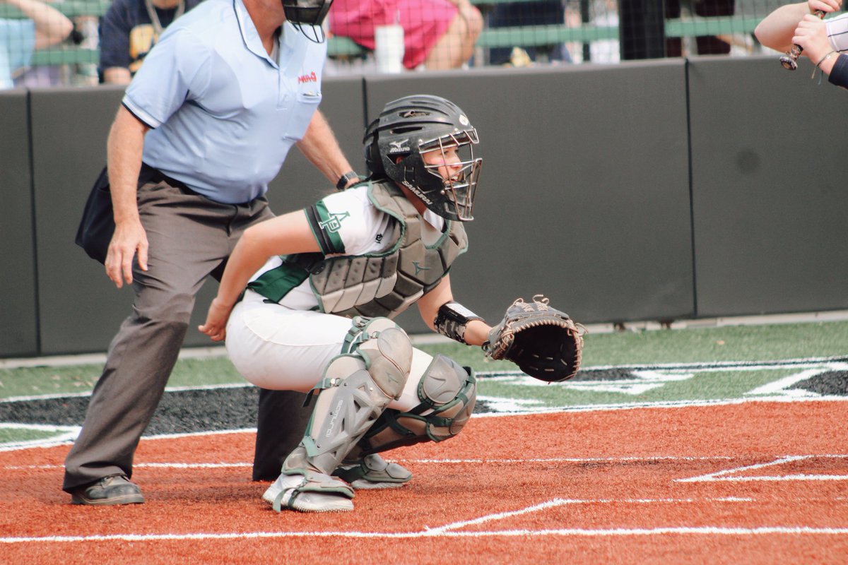 Allen Park Softball tweet media