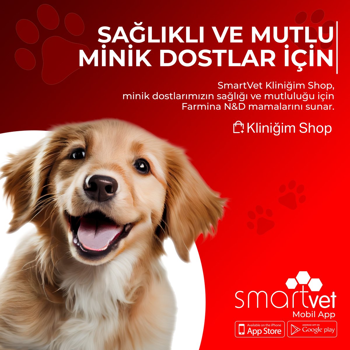 Sağlıklı ve Mutlu Minik Dostlar İçin!

SmartVet Kliniğim Shop, minik dostlarımızın sağlığı ve mutluluğu için Farmina N&amp;D mamalarını sunar.