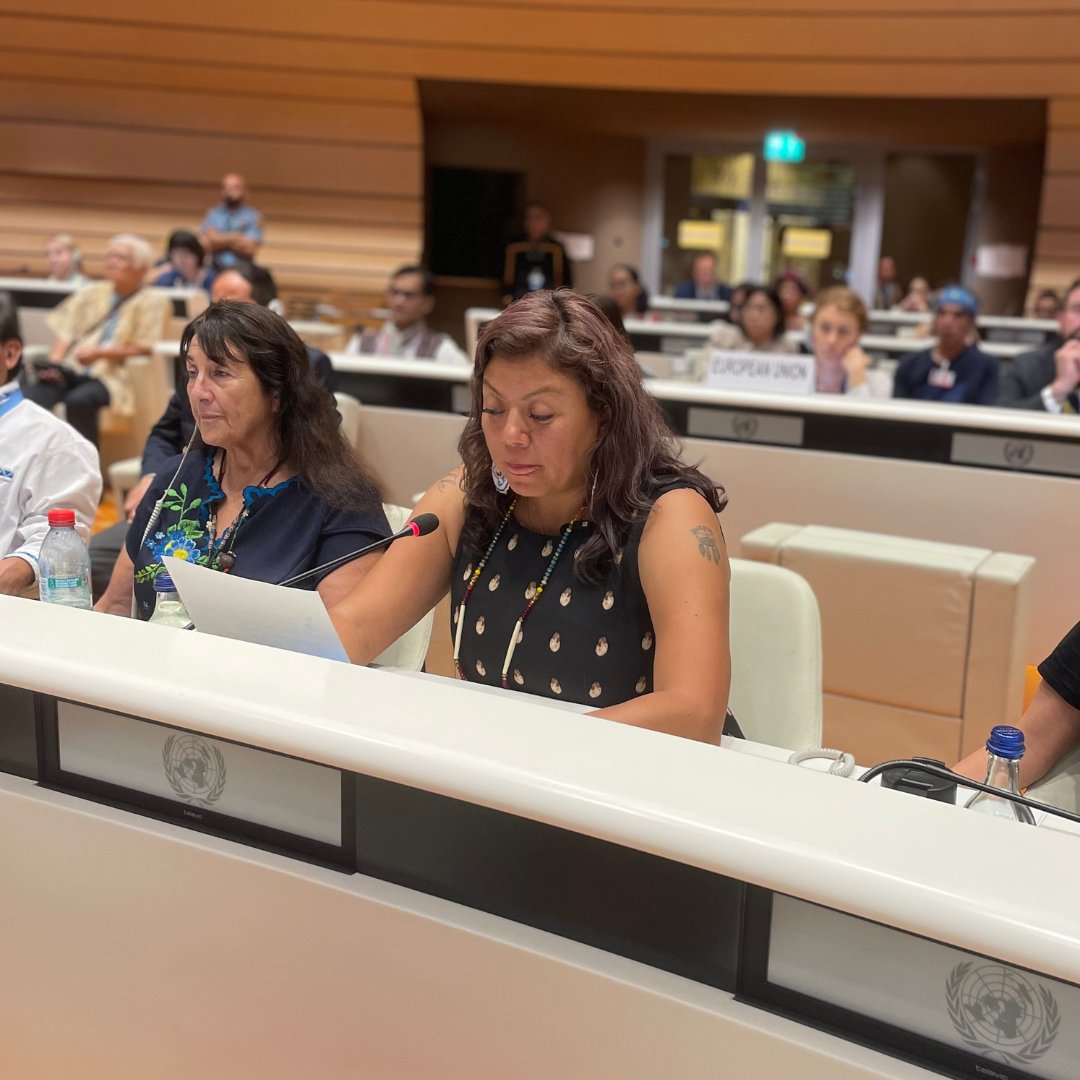 Ruth Anna Buffalo (Mandan Hidatsa Arikara Nation, Chiricahua Band of Apache Descendant) delivered a necessary speech to the UN yesterday in Geneva, Switzerland on the legacy of Indian Boarding and Residential schools, and the urgency to protect Indigenous languages.
#UN