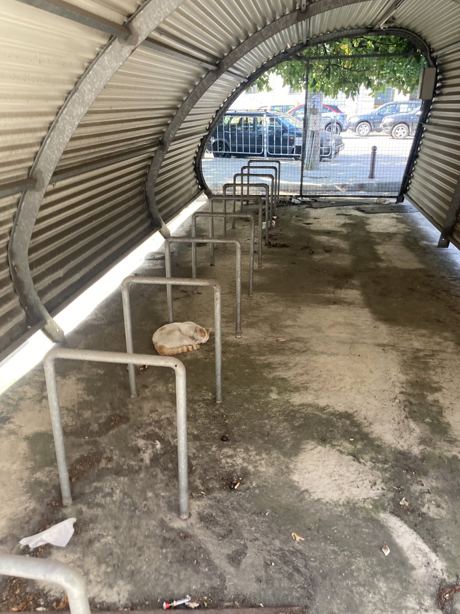 1954MOORE's tweet photo. How not to do bike hangers : as seen outside Varna railway station Bulgaria. Not surprisingly the only thing using it was a cat! https://t.co/CaaV3FRbG3