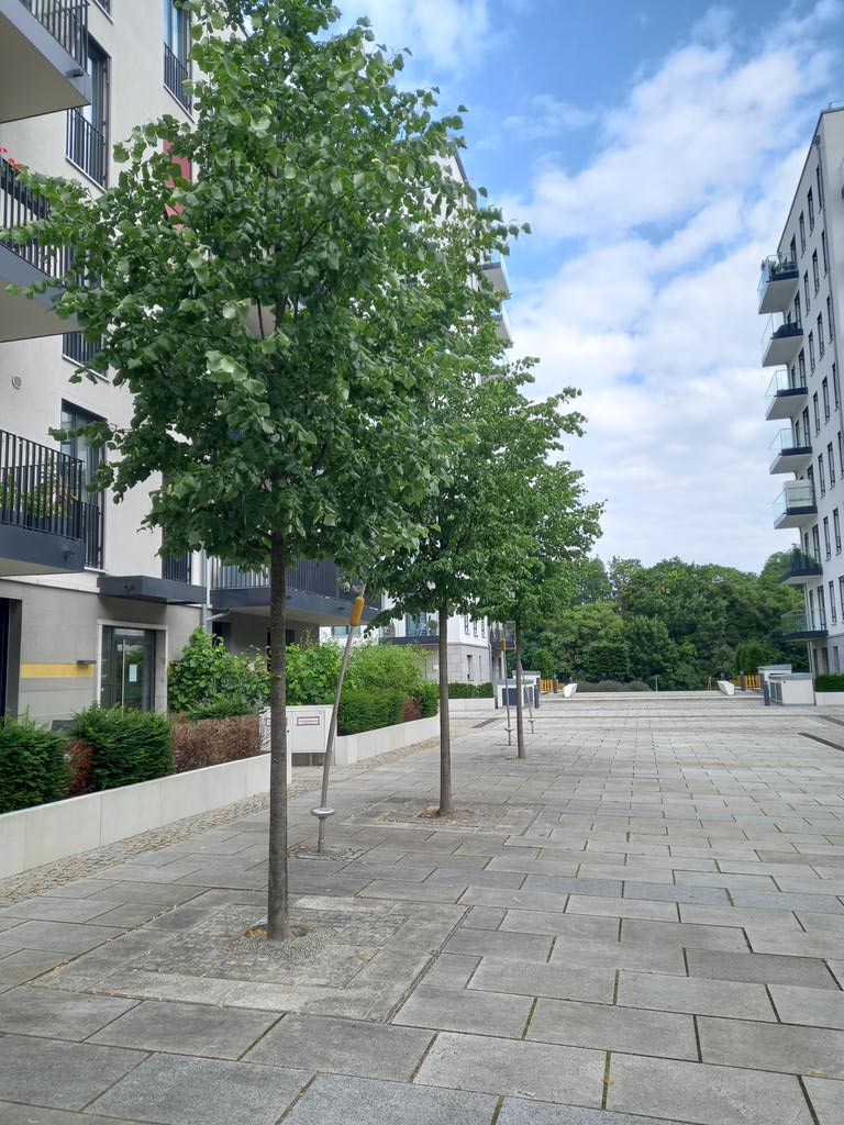 BillyTapit's tweet photo. @jonesoswestry #Arborslot recessed #treesurrounds with paving infill specified by @parkhooddesign and installed in #Berlin at #no1charlottenburg https://t.co/XfbasB0TZo