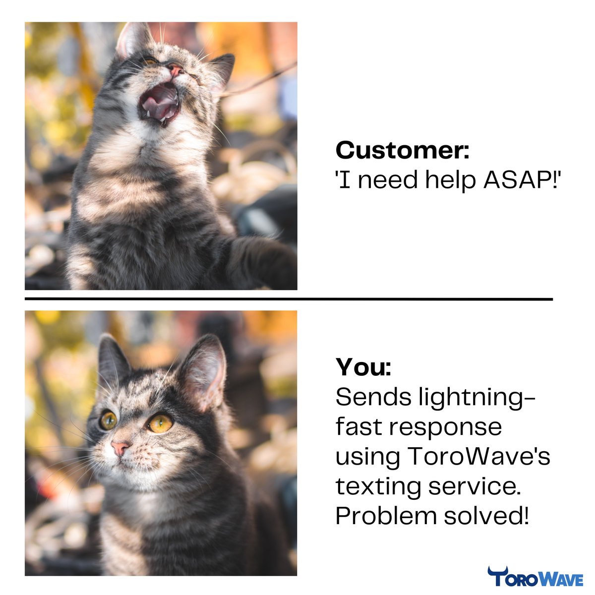 ToroWaveSMS's tweet photo. When they say 'ASAP,' we mean it! Problem solved with a snap!
#ToroWave https://t.co/Zg2PCTjD14