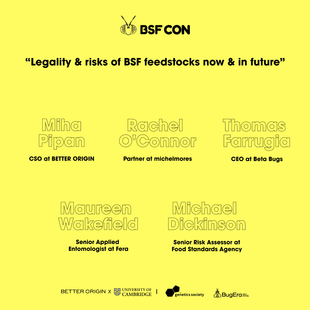 Black Soldier Fly Conference tweet media