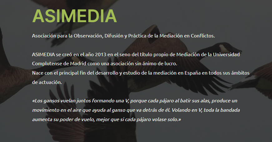 Descubre nuestra nueva web asimedia.es