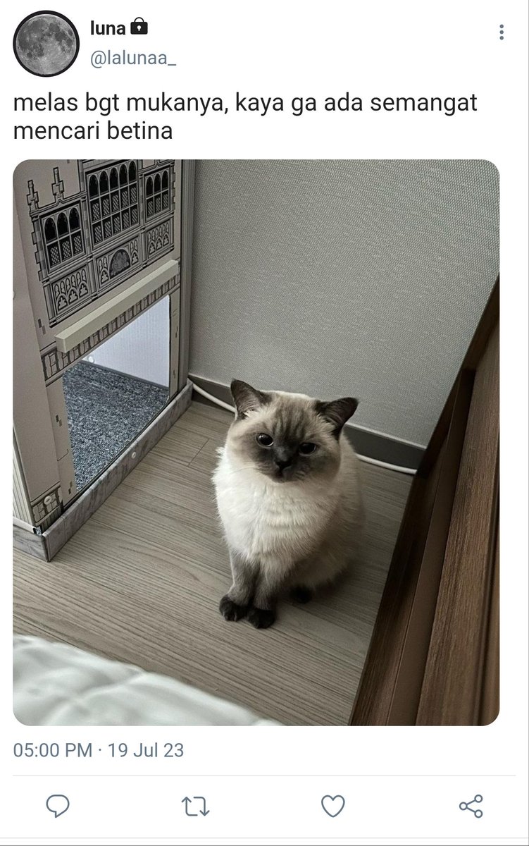 Dipang final chapter with betina kesayangan 💔😔

°from unspoken words