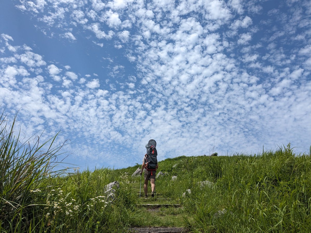hike_around's tweet photo. 早めの夏休みは初めての九州を狙っていましたが、連日の豪雨により断念し、萩温泉に泊まって秋吉台を堪能する山口県プランとなりました！猛暑日だったので短時間で散策しましたが、👶さん意外と熱くなってなくて、キャリアすごい...ってなりました。大人は滝汗... https://t.co/sv5r1FbZkq