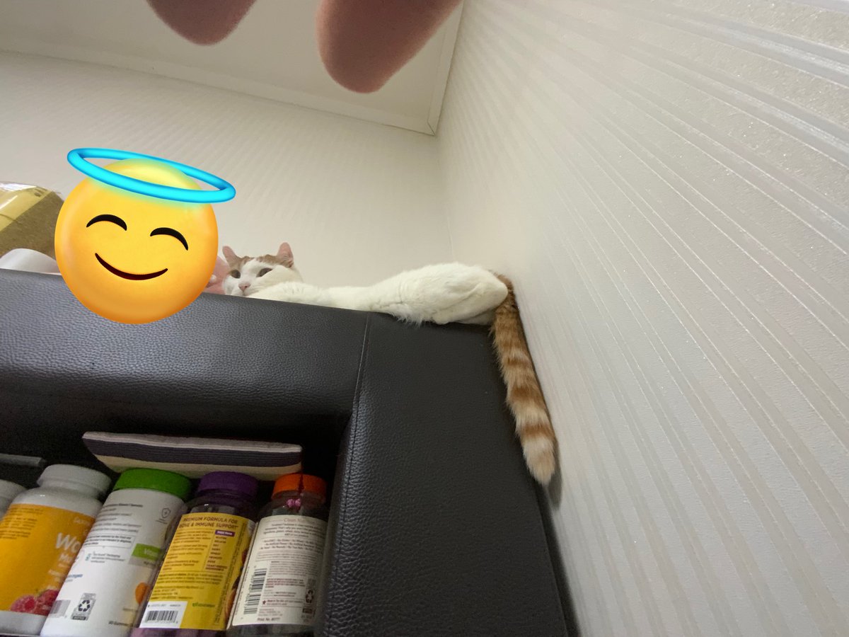 궁딍이가 넘치는.