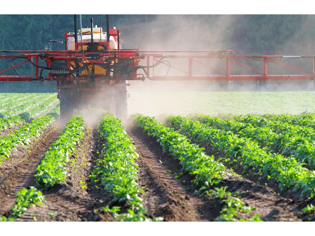 BrandStoryNews's tweet image. Pesticide Detection Market is Anticipated to be Appraised at 3.76 Bn by 2032 | Data by Future Market Insights Inc.

apnews.com/press-release/…

#PesticideDetection #KISSPRNewswire #KISSPRBrandStory #KISSPRPressRelease