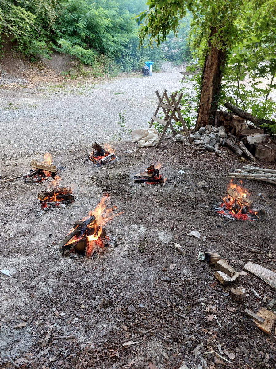 Summer's perfect for experimental archaeology! 🌞🔬 Exploring the captivating world of wood tar. #experimentalarchaeology #WoodTar #science