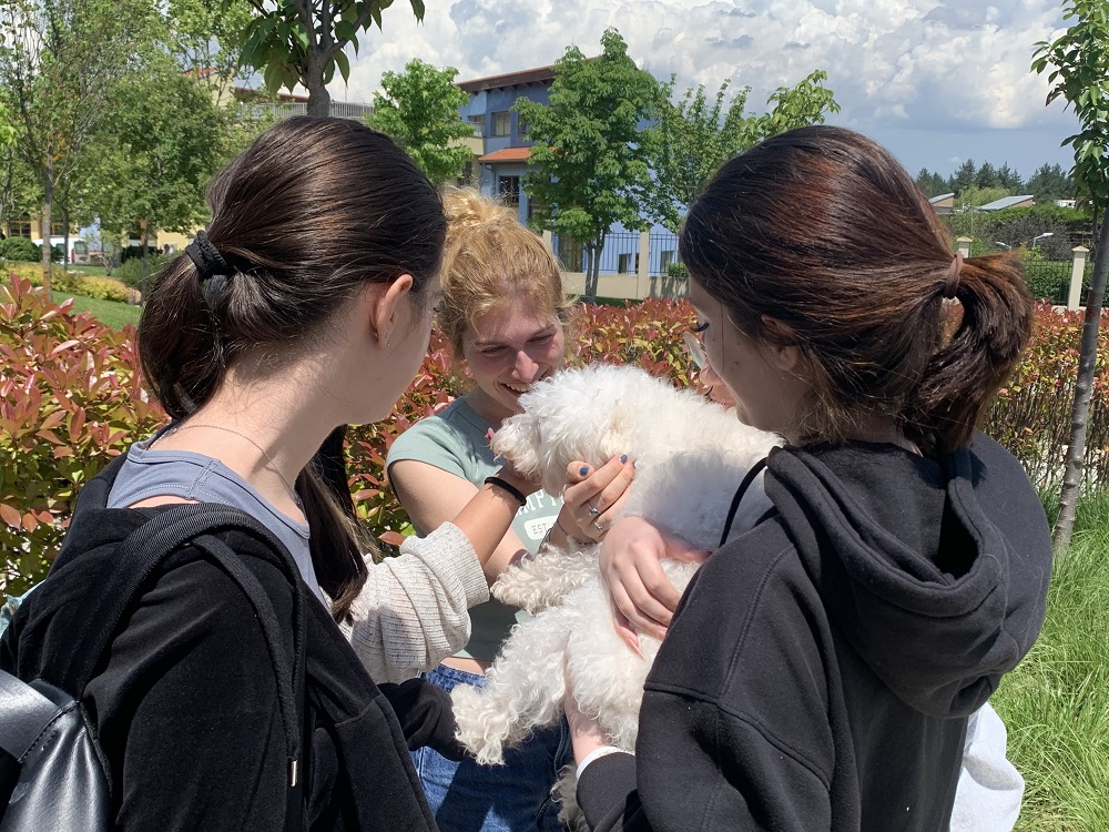 AAS Sofia tweet media