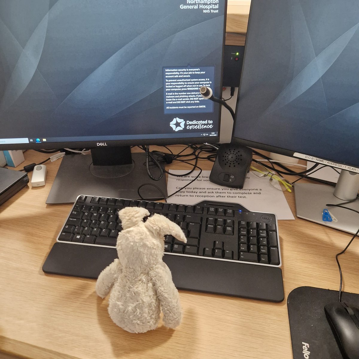 We have a lost bunny looking for it's owner! 🐰 The bunny was left behind in our Radiology department yesterday. Whilst waiting to be collected, they are helping our Radiology team to run the reception. Please help us to reunite this lost bunny with their owner💙