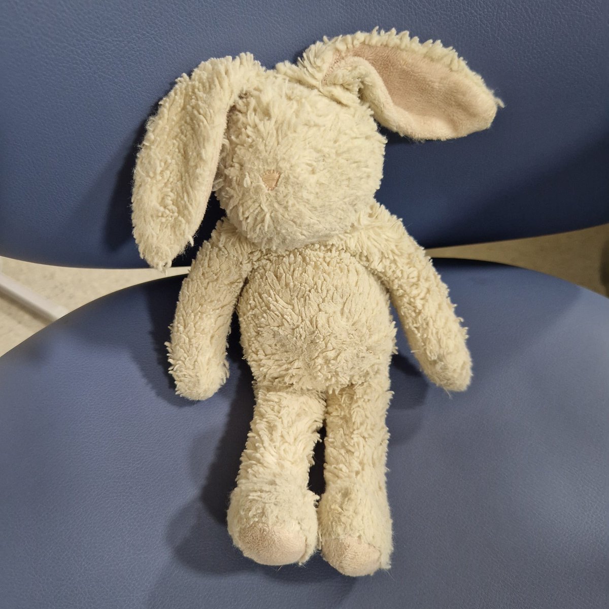 NGHnhstrust's tweet photo. We have a lost bunny looking for it's owner! 🐰

The bunny was left behind in our Radiology department yesterday. Whilst waiting to be collected, they are helping our Radiology team to run the reception.

Please help us to reunite this lost bunny with their owner💙 https://t.co/2SKupHbhEo