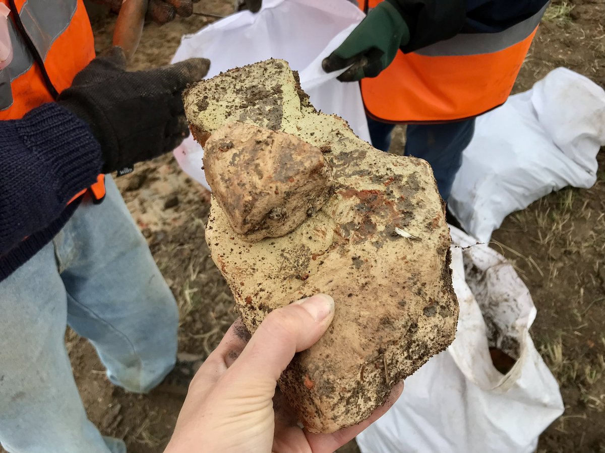 CotswoldArch's tweet photo. Cliff’s expert machining has started for Trench 6, over what we thought from the #geophys would be an enclosure around the kiln site. It’s actually looking more like a second large pit for tile wasters and kiln rake-out (ash etc). More of, soon! #BrandiersKilnProject #Archaeology https://t.co/SGtYFxSQdh