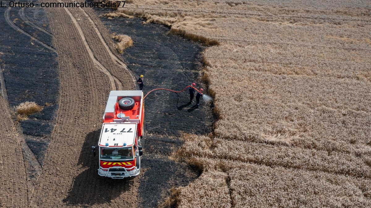🔥 #Feux de récoltes en #SeineEtMarne :
- #FontenayTresigny
- #MaisoncellesEnBrie
- #Larchant

Une réactivité des #Agriculteurs et #SapeursPompiers ont permis de maîtriser les #Incendies et empêcher la propagation aux habitations.