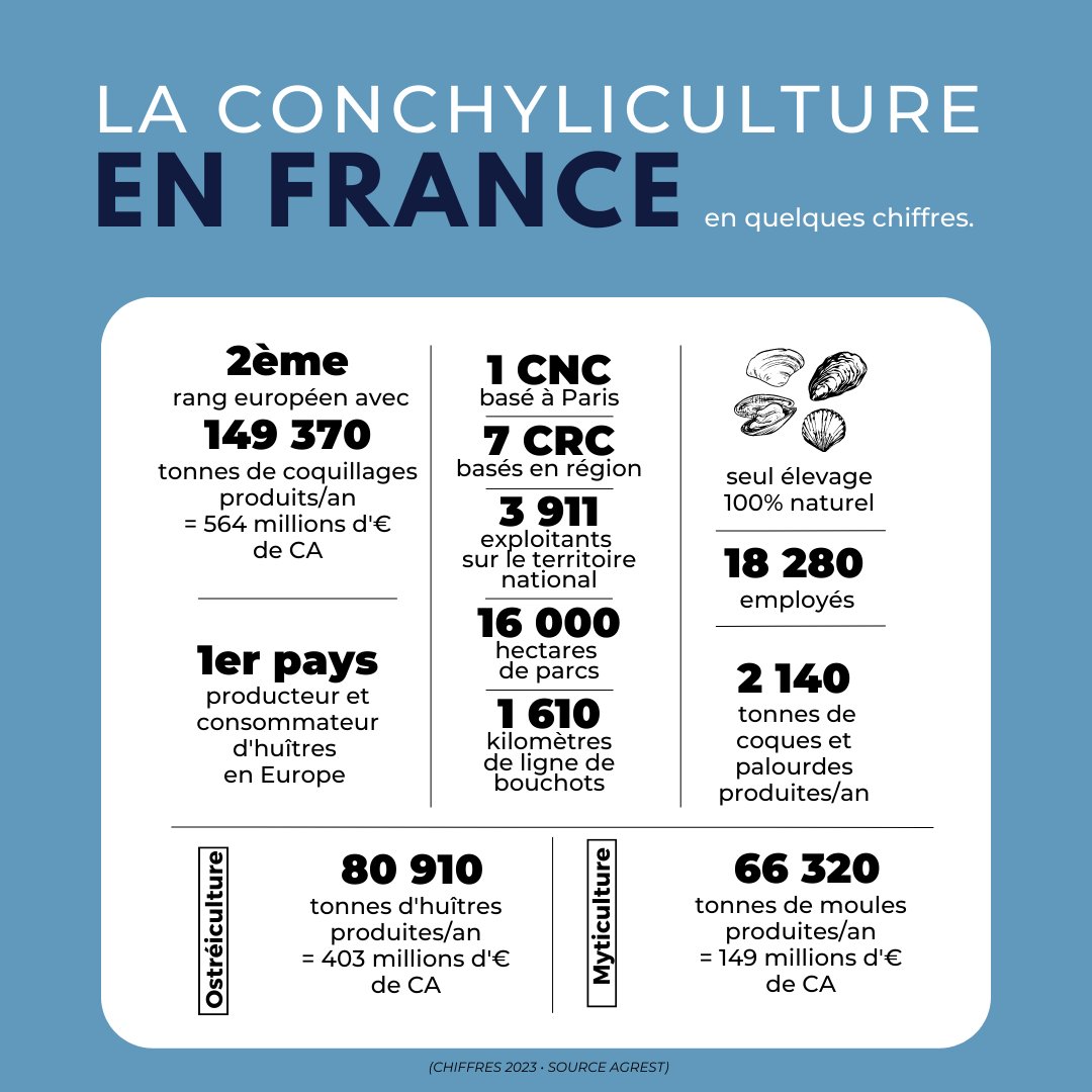 Découvrez la #conchyliculture en #France en 2023, en quelques chiffres 🇫🇷 🦪