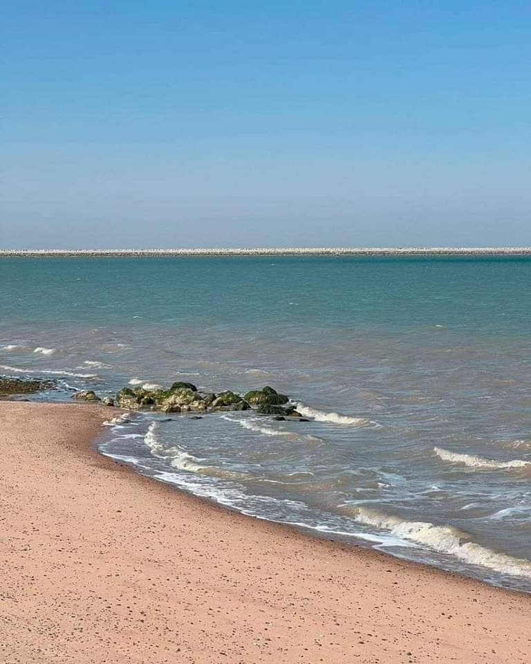 البصرة – Basra Today tweet media