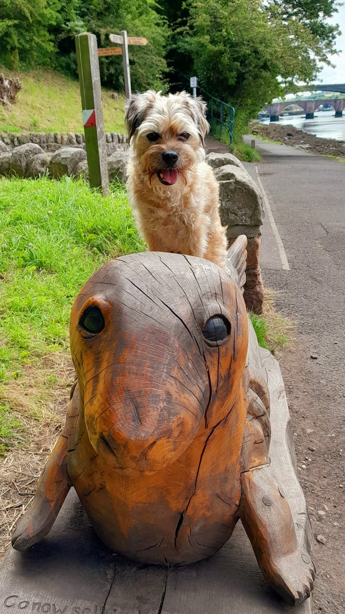 🎶Go now Selkie boy, swim from the shore, wash your ears clean from human chatter🎶
Song lyrics were engraved below pals and just sounded like great advice to me. 😆😴
#BTPosse