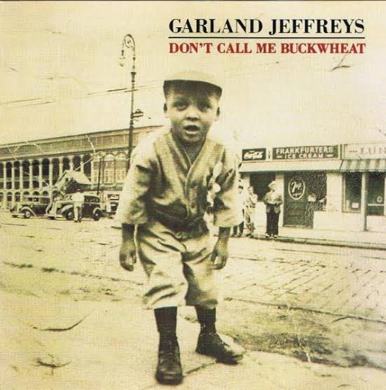 今夜は #ガーランドジェフリーズ を聴きながらハーパーをやる
ガキには教えたくない名盤

#GarlandJeffreys 
#DontCallMebackwheat