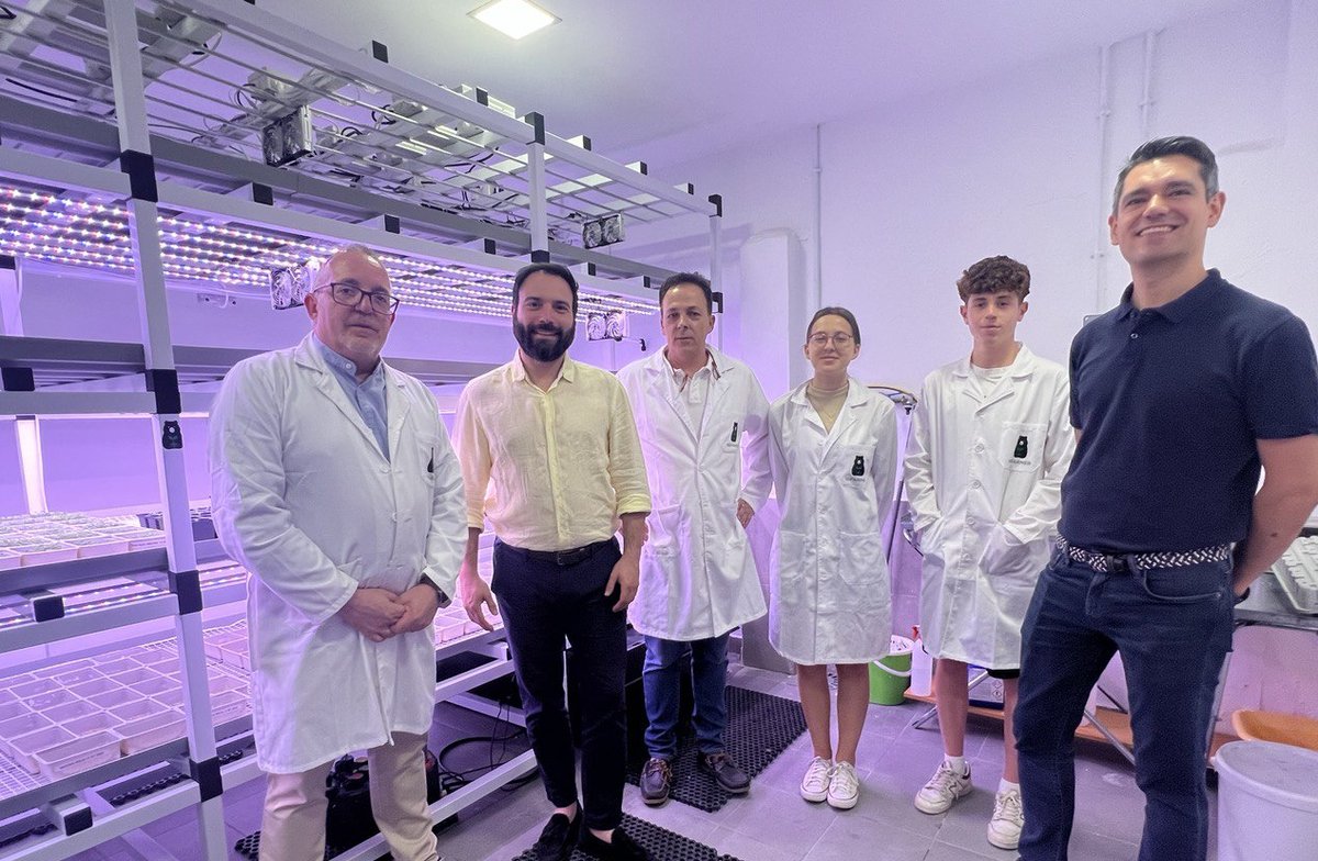 Ángel Niño tweet media