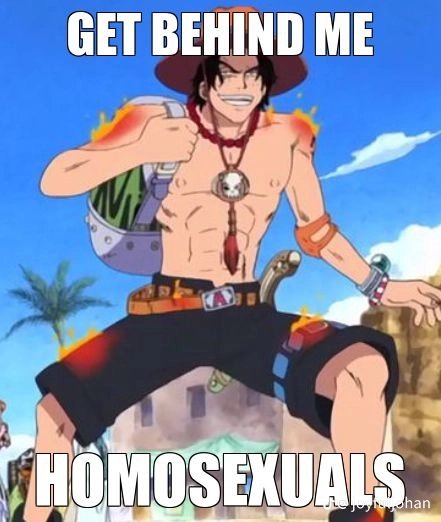 Local Kitten tweet media