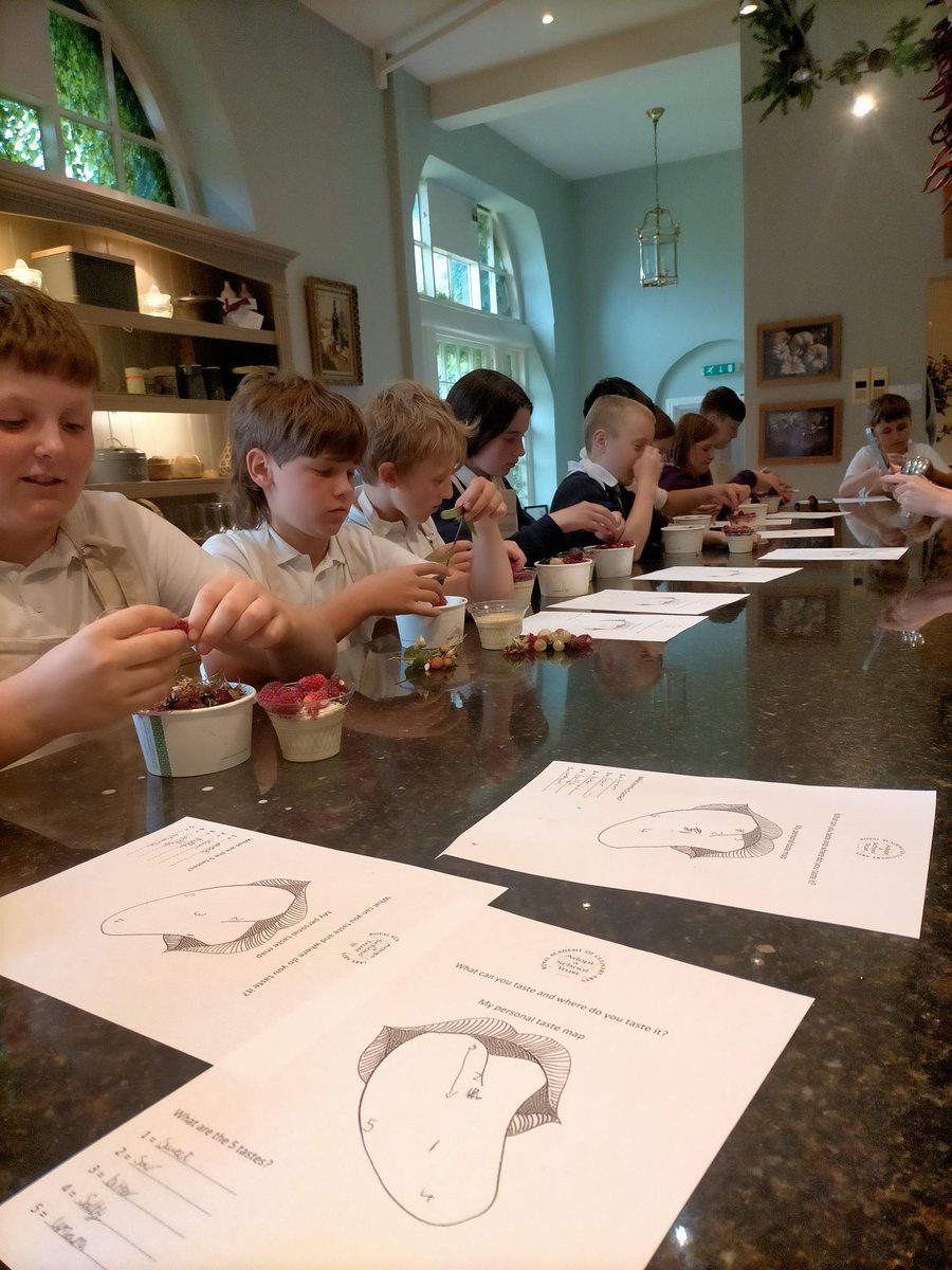 Masham CE Primary (@mashamcep) on Twitter photo What a fabulous day Year 6 had yesterday at <a href="/swintonestate/">Swinton Estate</a> cookery school! they made some delicious panna cotta garnished with their finds from the kitchen garden! ππ«πΊfuture chefs in the making π©βπ³ What a fabulous day Year 6 had yesterday at <a href="/swintonestate/">Swinton Estate</a> cookery school! they made some delicious panna cotta garnished with their finds from the kitchen garden! ππ«πΊfuture chefs in the making π©βπ³