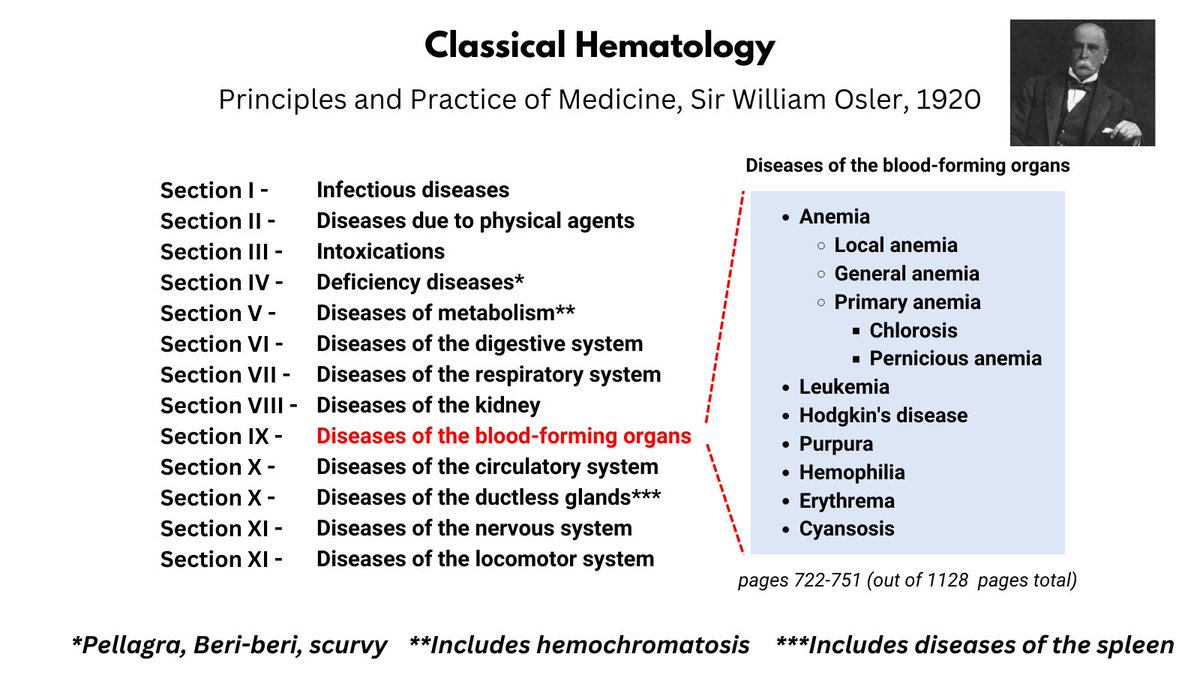William Aird tweet media
